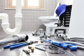 Best Residential Plumbing Services  in Forrest, IL